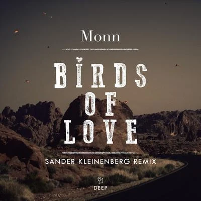 Monn Birds Of Love (Sander Kleinenberg Remix)