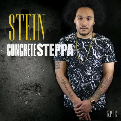 Stein Concrete Steppa