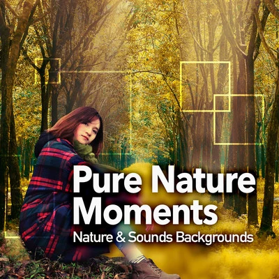 Nature &amp; Sounds Backgrounds Pure Nature Moments