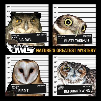 The Four Owls Natures Greatest Mystery