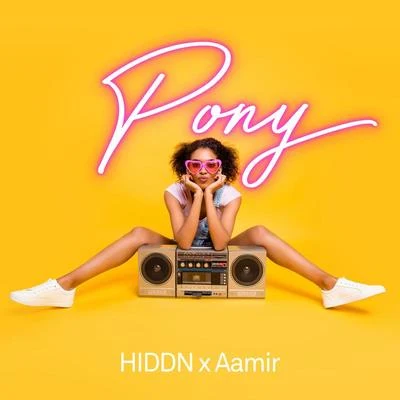 Aamir/HIDDN Pony