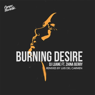 Dj Luane Burning Desire (feat. Zhina Berry)