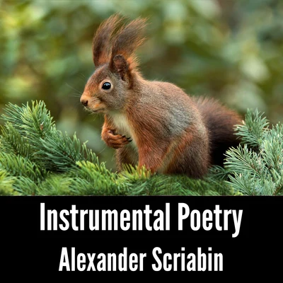 Alexander Scriabin Instrumental Poetry: Alexander Scriabin