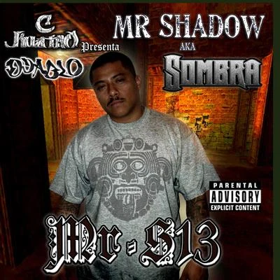 Mr. Shadow Mr. S13