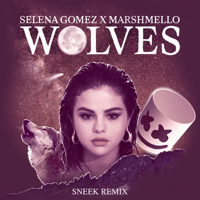 Marshmello/Selena Gomez/Sneek Wolves (Sneek Remix)