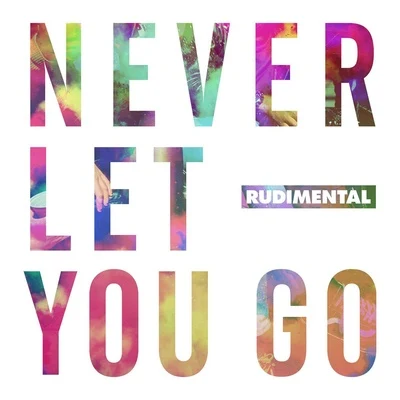 Rüdimental Never Let You Go