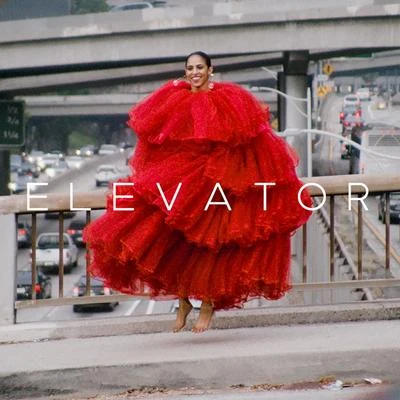 Gavin Turek Elevator