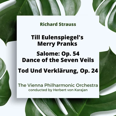 Herbert von Karajan/the Vienna Philharmonic Orchestra Richard Strauss: Till Eulenspiegels Merry PranksDance of the Seven VeilsTod Und Verklärung