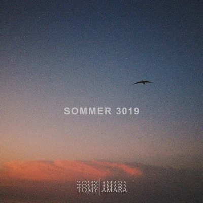 Tomás/Amara Sommer 3019