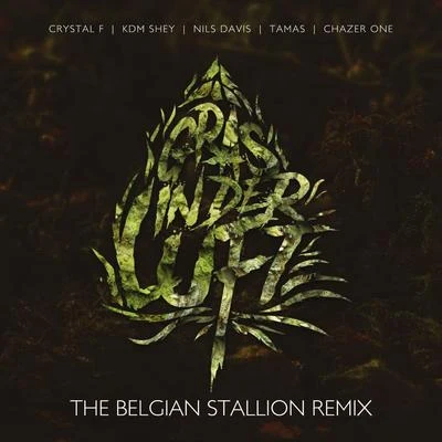 Crystal F/Tamas/KDM Shey Gras in der Luft (The Belgian Stallion Remix)