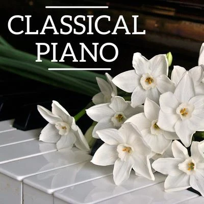 Various Artists/Classical Music: 50 of the Best/Franz Schubert/Ludovico Einaudi/Michael Nyman/Franz Liszt Classical Piano