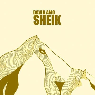 David Amo Sheik