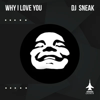 DJ Sneak Why I Love You