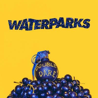 Waterparks Stupid for You