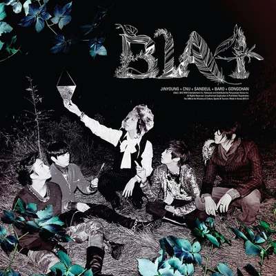 B1A4 In The Wind