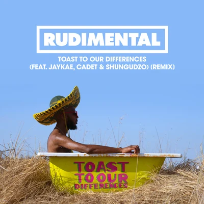 Jaykae/Rüdimental/Shungudzo/Cadet Toast to our Differences (Remix)