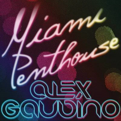 Alex Gaudino Miami Penthouse