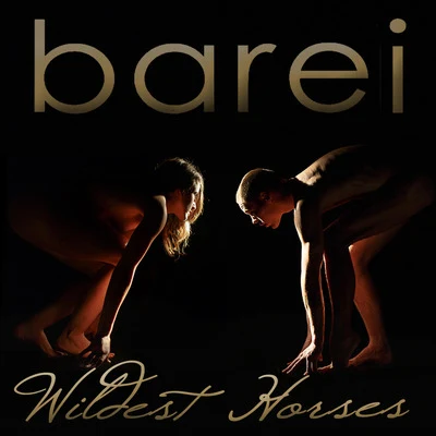 Barei Wildest Horses