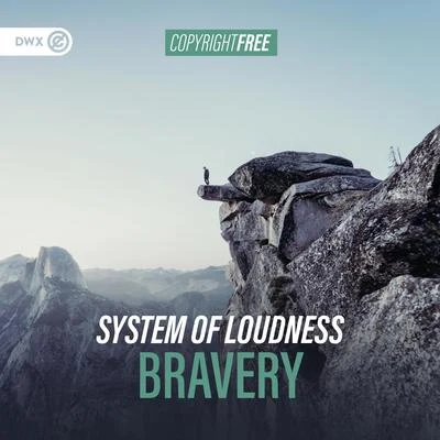 System Of Loudness Bravery