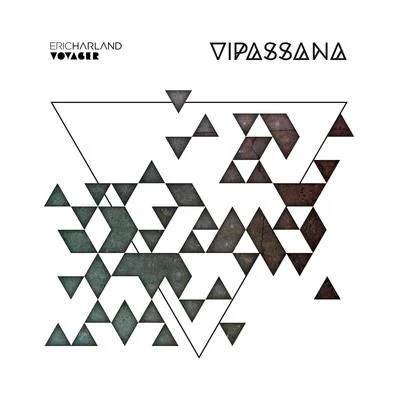 Voyager Vipassana