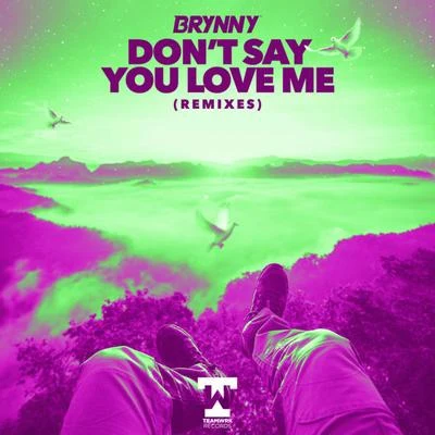 Brynny Don't Say You Love Me (Remixes)