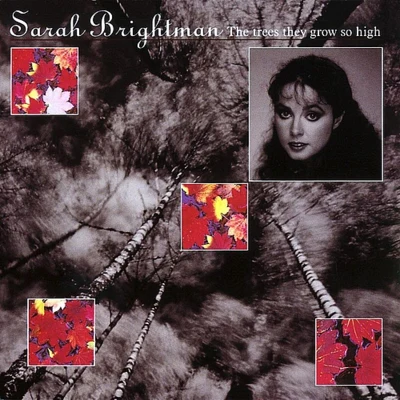 Sarah Brightman The Trees They Grow So High