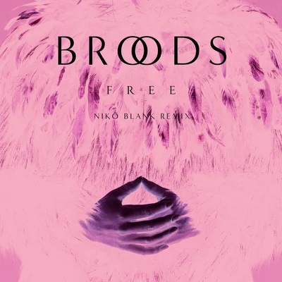 BROODS Free (Nikö Blank Remix)