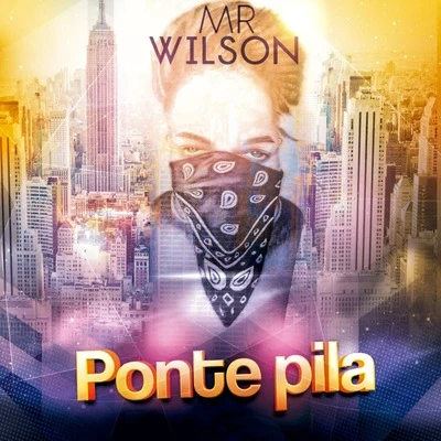 Mr. Wilson Ponte Pila