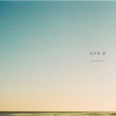 Morrie 세번째 봄