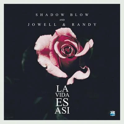 Shadow Blow La Vida Es Asi (Remix)