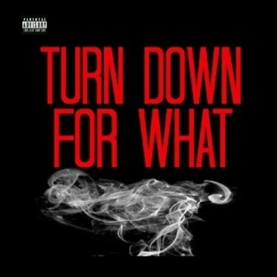 DJ Snake/Lil Jon Turn Down for What [Remix] - Single