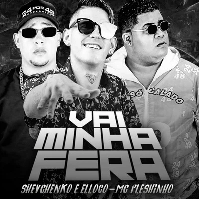 Shevchenko e Elloco/Mc Fleshinho Vai Minha Fera