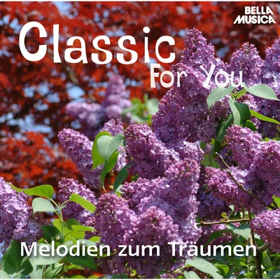 Slovak State Philharmonic Orchestra Classic for You: Melodien zum Träumen