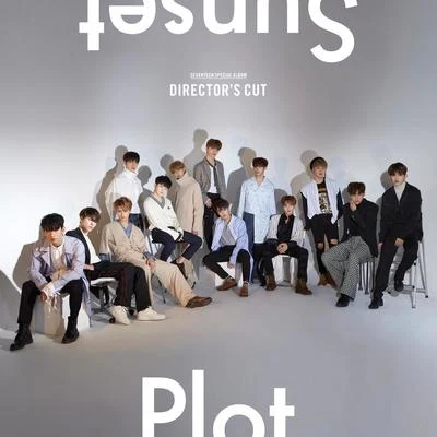 seventeen DIRECTORS CUT