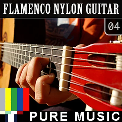 Alec Brian Puro/Jeffrey Peter Briggs/Raney Shockne Flamenco Nylon Guitar, Vol. 4