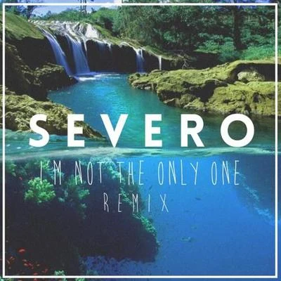 Severo Im not the only one (Severo Remix)