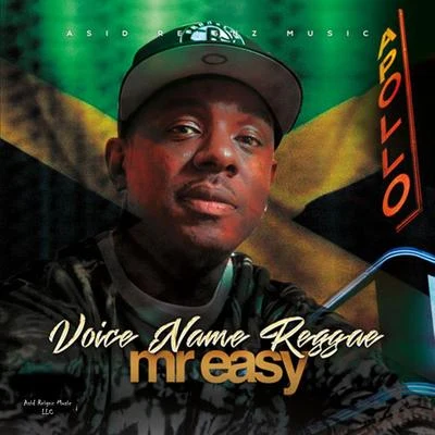 Mr Easy Voice Name Reggae