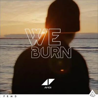 Sanjin Avicii-ID-We Burn（Faster Than Light）SanJin Remake