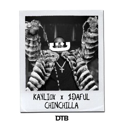 Kayliox Chinchilla