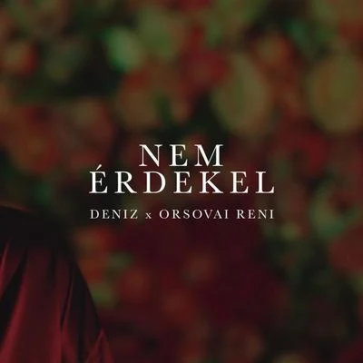 Deniz Nem Érdekel