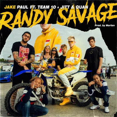 Jake Paul Randy Savage