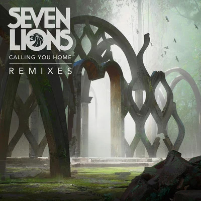 Seven Lions Calling You Home (Remixes)