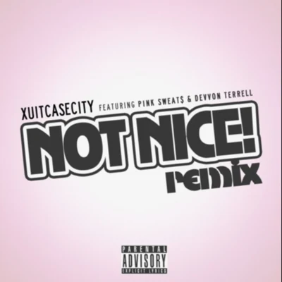 XUITCASECITY Not Nice (Remix)