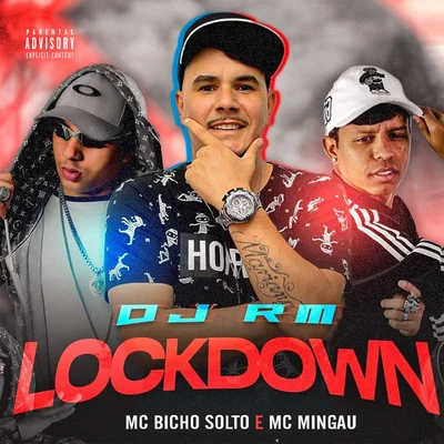 DJ RM/Mc Mingau/MC Bicho Solto Lockdown