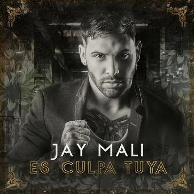 Jay Maly Es Culpa Tuya