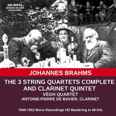 Végh Quartet/Johannes Brahms/Antoine-Pierre de Bavier Brahms: Chamber Music