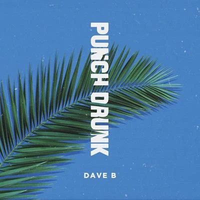 Dave B. Punch Drunk