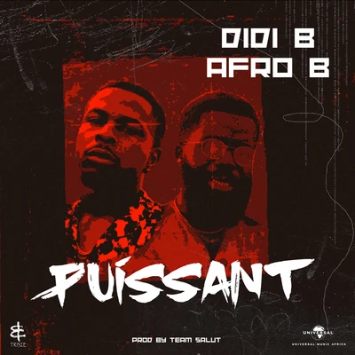 Afro B/Didi B Puissant