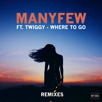 ManyFew Where to Go (Remixes)