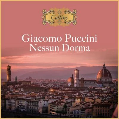 Dennis O&#x27;Neill/Orchestra of the Welsh National Opera Puccini: Nessun Dorma